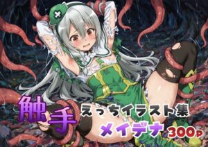 メイデナ